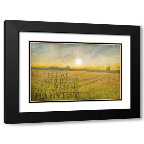 Already to Harvest Black Modern Wood Framed Art Print with Double Matting by Kimberly, Allen