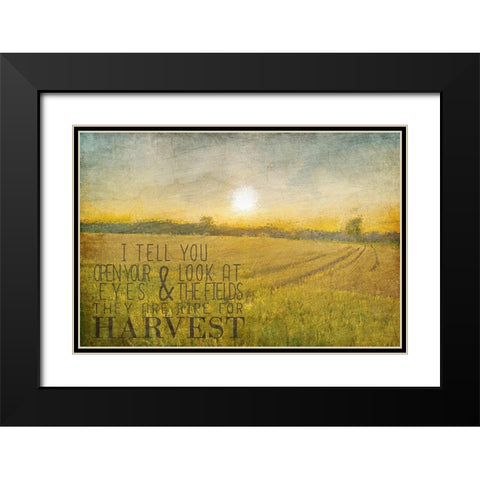 Already to Harvest Black Modern Wood Framed Art Print with Double Matting by Kimberly, Allen