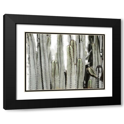 Desert Day Black Modern Wood Framed Art Print with Double Matting by Allen, Kimberly