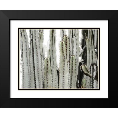 Desert Day Black Modern Wood Framed Art Print with Double Matting by Allen, Kimberly