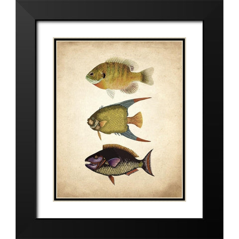 Fish A Black Modern Wood Framed Art Print with Double Matting by Kimberly, Allen