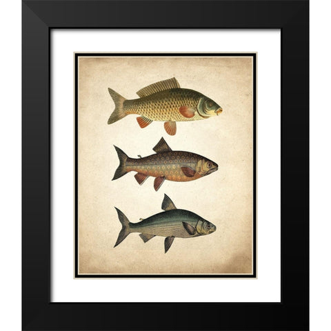 Fish B Black Modern Wood Framed Art Print with Double Matting by Kimberly, Allen