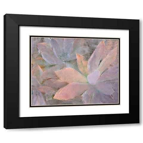 Succulents Black Modern Wood Framed Art Print with Double Matting by Allen, Kimberly