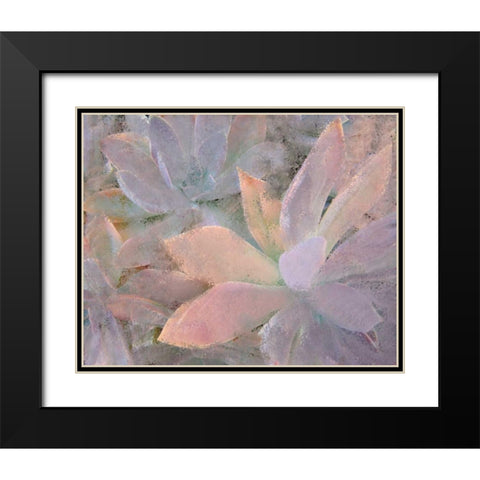 Succulents Black Modern Wood Framed Art Print with Double Matting by Allen, Kimberly