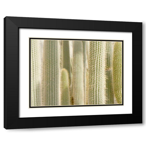 Towards the Sky Black Modern Wood Framed Art Print with Double Matting by Allen, Kimberly