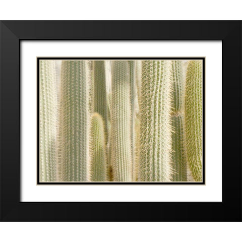 Towards the Sky Black Modern Wood Framed Art Print with Double Matting by Allen, Kimberly