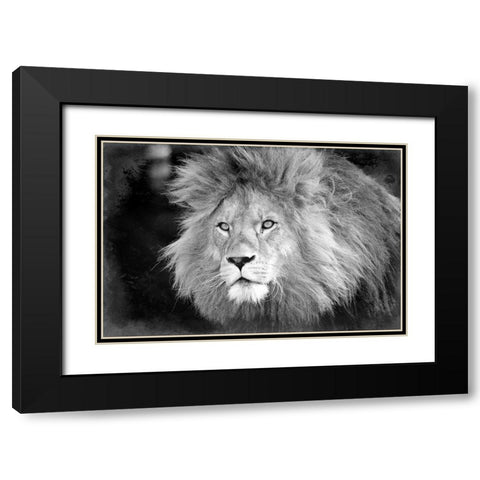 Intent Black Modern Wood Framed Art Print with Double Matting by Kimberly, Allen