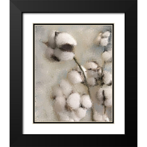 Sprays of Cotton 2 Black Modern Wood Framed Art Print with Double Matting by Kimberly, Allen