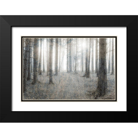 Forest Dream Black Modern Wood Framed Art Print with Double Matting by Kimberly, Allen