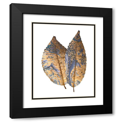 Marbled Gold 2 Black Modern Wood Framed Art Print with Double Matting by Kimberly, Allen