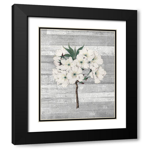 Cherry Blossom 2 Black Modern Wood Framed Art Print with Double Matting by Kimberly, Allen