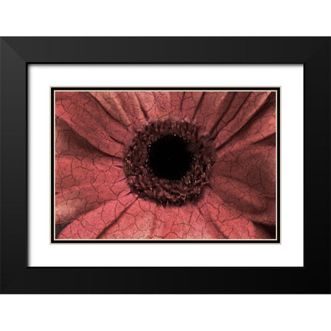 Bloom Center Black Modern Wood Framed Art Print with Double Matting by Kimberly, Allen