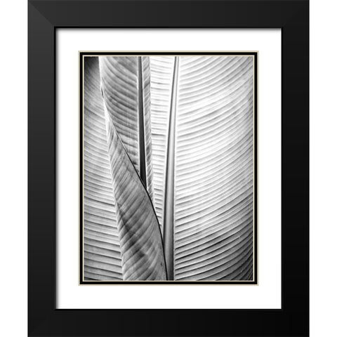 Metal BW Plant 1 Black Modern Wood Framed Art Print with Double Matting by Allen, Kimberly