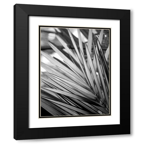 Metal BW Plant 2 Black Modern Wood Framed Art Print with Double Matting by Allen, Kimberly