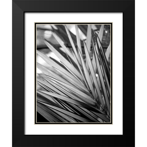 Metal BW Plant 2 Black Modern Wood Framed Art Print with Double Matting by Allen, Kimberly