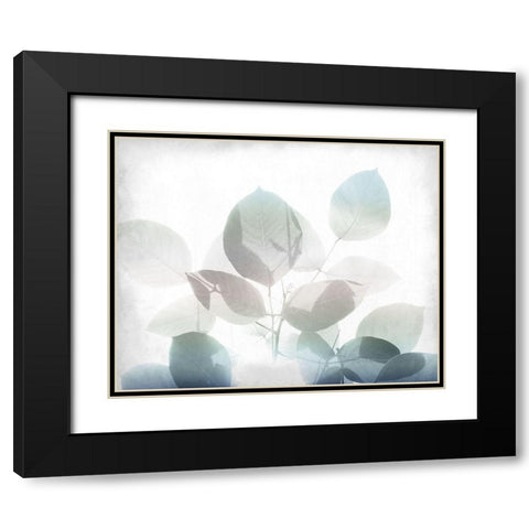 Antiqued Leaves 2 v2 Black Modern Wood Framed Art Print with Double Matting by Kimberly, Allen