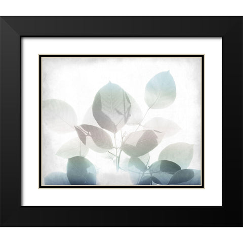 Antiqued Leaves 2 v2 Black Modern Wood Framed Art Print with Double Matting by Kimberly, Allen