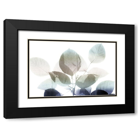 Midnight Leaves 1 v2 Black Modern Wood Framed Art Print with Double Matting by Kimberly, Allen