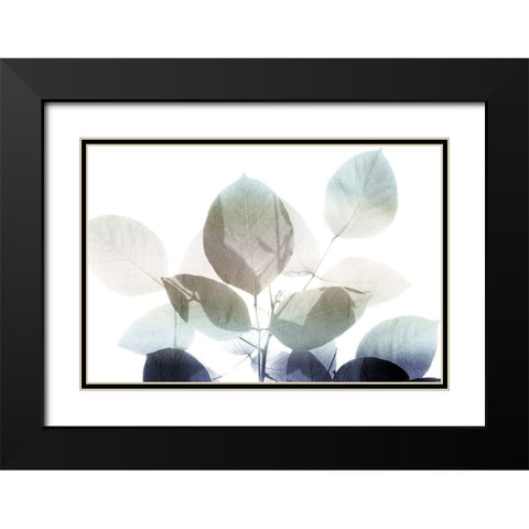 Midnight Leaves 1 v2 Black Modern Wood Framed Art Print with Double Matting by Kimberly, Allen