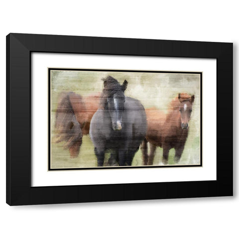 My Three Black Modern Wood Framed Art Print with Double Matting by Kimberly, Allen