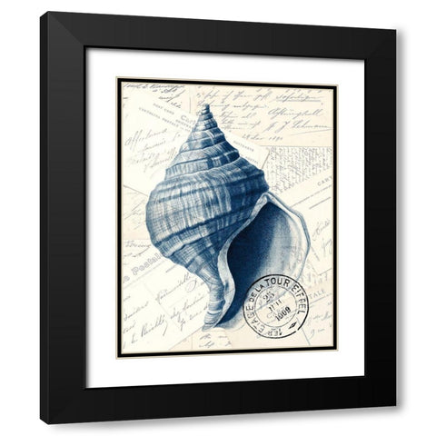 Shell Post 1 Black Modern Wood Framed Art Print with Double Matting by Kimberly, Allen