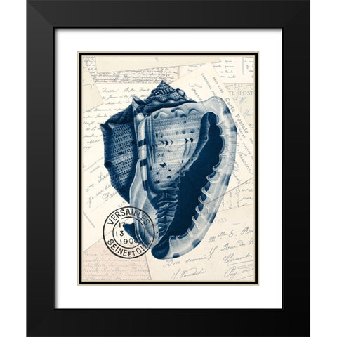 Shell Post 2 Black Modern Wood Framed Art Print with Double Matting by Kimberly, Allen
