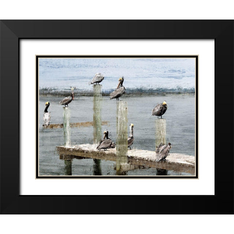 Perched Black Modern Wood Framed Art Print with Double Matting by Kimberly, Allen