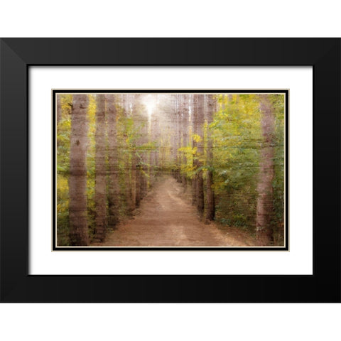 Sunlight Path Black Modern Wood Framed Art Print with Double Matting by Kimberly, Allen