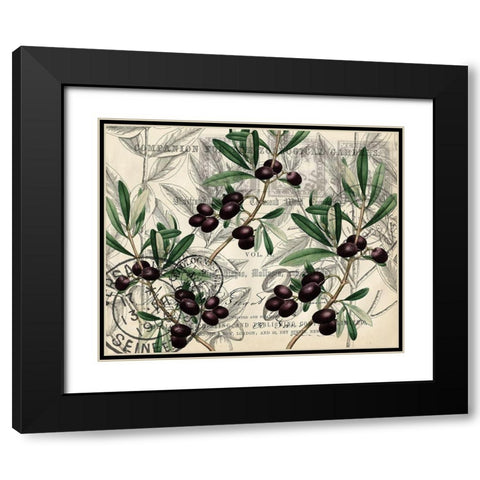 Olive Branch 1 Black Modern Wood Framed Art Print with Double Matting by Kimberly, Allen