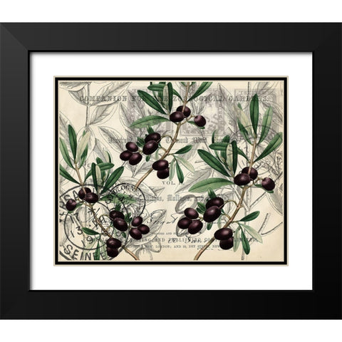 Olive Branch 1 Black Modern Wood Framed Art Print with Double Matting by Kimberly, Allen