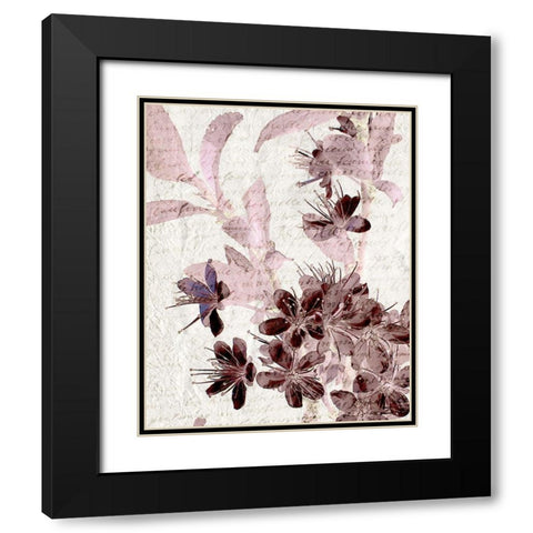Cherry Blossom Plum 1 Black Modern Wood Framed Art Print with Double Matting by Kimberly, Allen