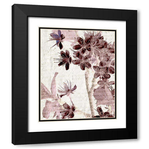 Cherry Blossom Plum 2 Black Modern Wood Framed Art Print with Double Matting by Kimberly, Allen