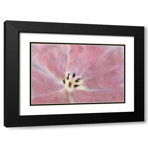 Tulip Center Black Modern Wood Framed Art Print with Double Matting by Kimberly, Allen