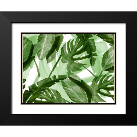 Tropic Green 3 Black Modern Wood Framed Art Print with Double Matting by Kimberly, Allen