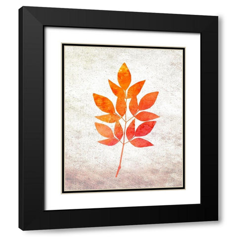 Bold Foliage 1 Black Modern Wood Framed Art Print with Double Matting by Kimberly, Allen
