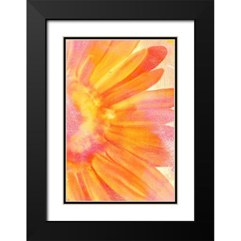 Blooming Bright Black Modern Wood Framed Art Print with Double Matting by Kimberly, Allen