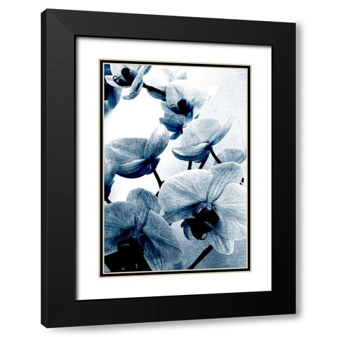 Climbing Orchids Black Modern Wood Framed Art Print with Double Matting by Kimberly, Allen