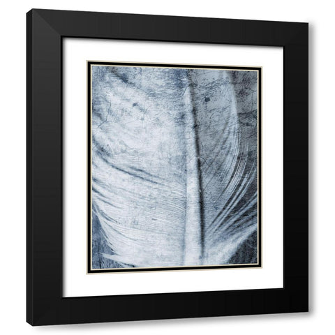Up Close Feather 1 Black Modern Wood Framed Art Print with Double Matting by Kimberly, Allen