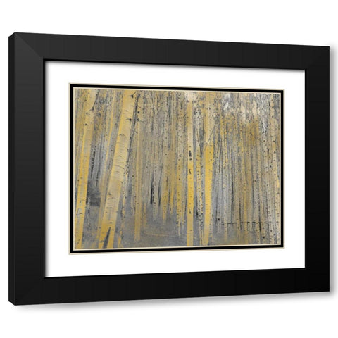 Aspen Forest in Gold Black Modern Wood Framed Art Print with Double Matting by Allen, Kimberly