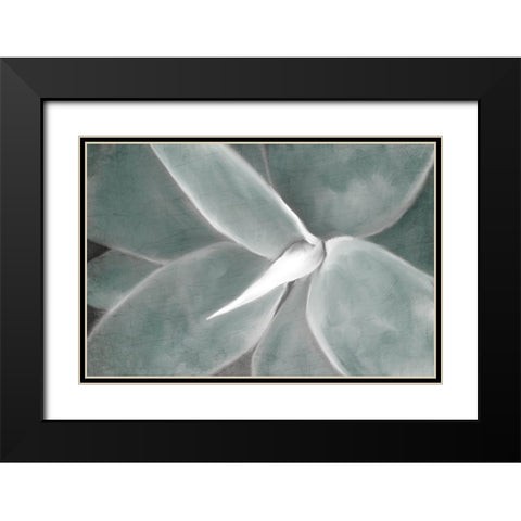 Succulent Center Black Modern Wood Framed Art Print with Double Matting by Kimberly, Allen