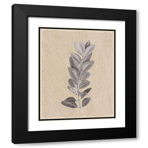 Blue Leaf Print 2 Black Modern Wood Framed Art Print with Double Matting by Kimberly, Allen