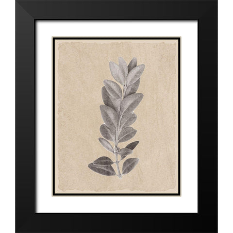Blue Leaf Print 2 Black Modern Wood Framed Art Print with Double Matting by Kimberly, Allen
