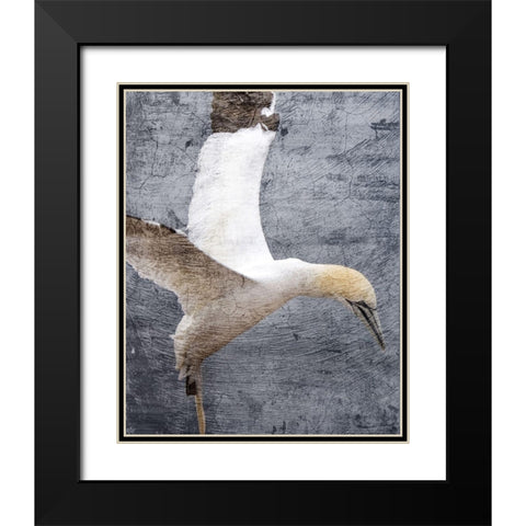 In Flight 1 Black Modern Wood Framed Art Print with Double Matting by Kimberly, Allen