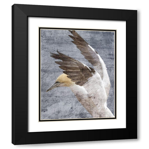 In Flight 2 Black Modern Wood Framed Art Print with Double Matting by Kimberly, Allen