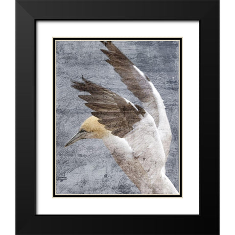 In Flight 2 Black Modern Wood Framed Art Print with Double Matting by Kimberly, Allen