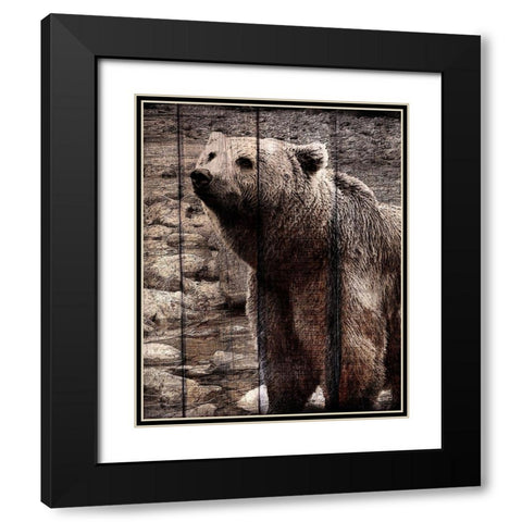 Into the Woods 3 Black Modern Wood Framed Art Print with Double Matting by Kimberly, Allen
