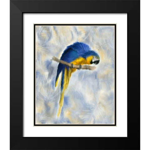 Parrot 1 Black Modern Wood Framed Art Print with Double Matting by Kimberly, Allen