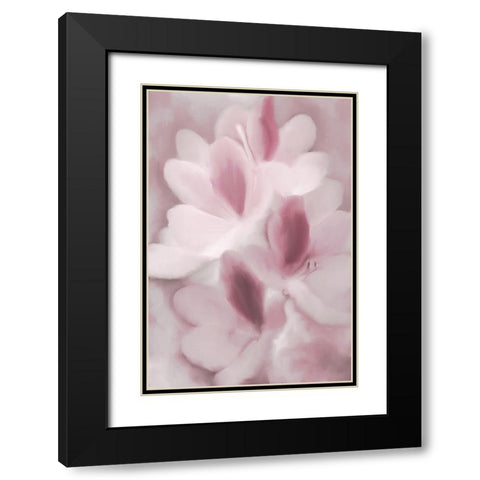 Blush Orchid Black Modern Wood Framed Art Print with Double Matting by Kimberly, Allen