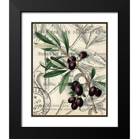 Olive Love 2 Black Modern Wood Framed Art Print with Double Matting by Kimberly, Allen