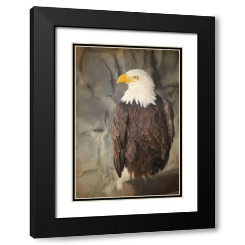 Perched Black Modern Wood Framed Art Print with Double Matting by Kimberly, Allen